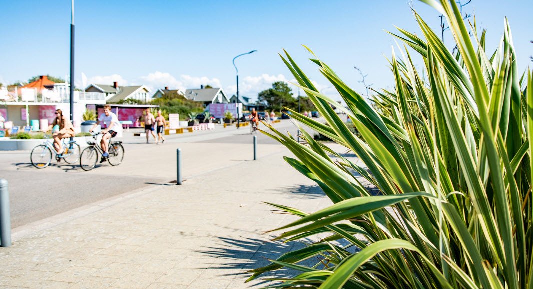 Skrea strand, Sweden